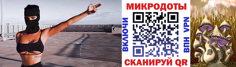 Купить  Верхний Тагил  Псилоцибиновые грибы прущие грибы 